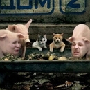 �������� ����������: ������ ��� ������