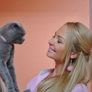 ����� �������: � ������ �� ��� �� ���������