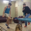 ������ ����� �� �����������