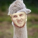 ������� ���-2 (11.10.2014)