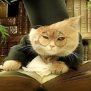 Гобозов сошелся с Алианой из-за квартиры