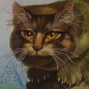 Мнение: Кот Баюн растерял былую хватку