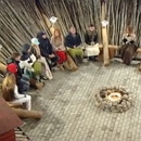 ����� �������� ������ (06.11.2014)