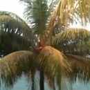 ������� ������� ��� �����?