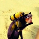 ��� ����: ��� �������� ��������� �� ������