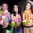 ������ ��������� �� �����