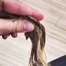 ������ ��������� � ���������