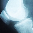 ������: ������, ������!