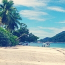 �������� � �������� ��� �� ������� �����