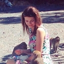 ��������� � �������� ������ � ���������� ��������