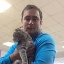 ���� ��������: � �������� �������!