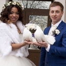 ������: ����������� ��������� ��������� ����