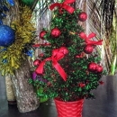 ����������� ����� ����������� �������� �� ���� ����