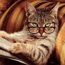 ��� ����: ���� ������ ����?