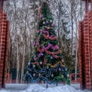 �������� � ���, ��� ��� � ������ ����� ����, ����� ��������