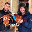 � ��������� �������� ��������