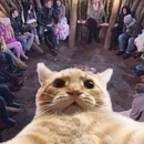 ���������: ���� �������� ����� ������������ � ����