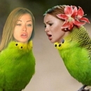 ��� ����: �����������-������������