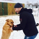 �������� �������: ������� ��� ����� ��� ������ ��������� � ������?