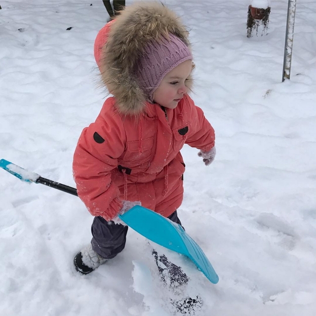 ���� ����� ���������� ����-2 (4.12.2016)