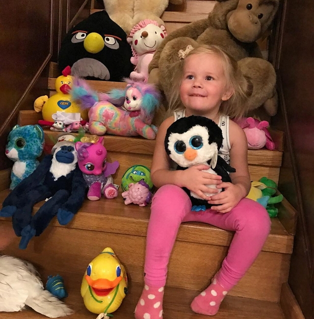 ���� ����� ���������� ����-2 (4.12.2016)