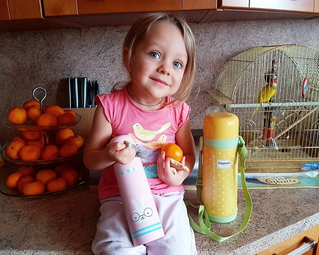 ���� ����� ���������� ����-2 (4.12.2016)