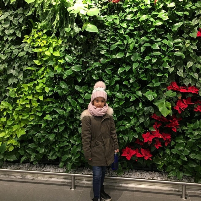 ���� ����� ���������� ����-2 (4.12.2016)