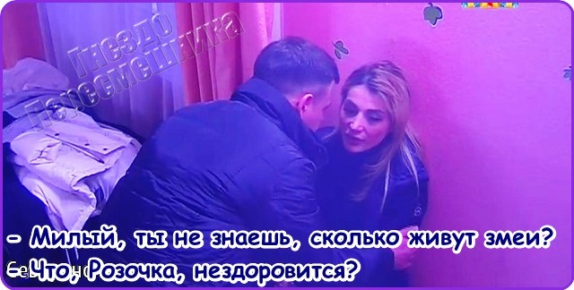 ������� ���-2 (6.12.2016)