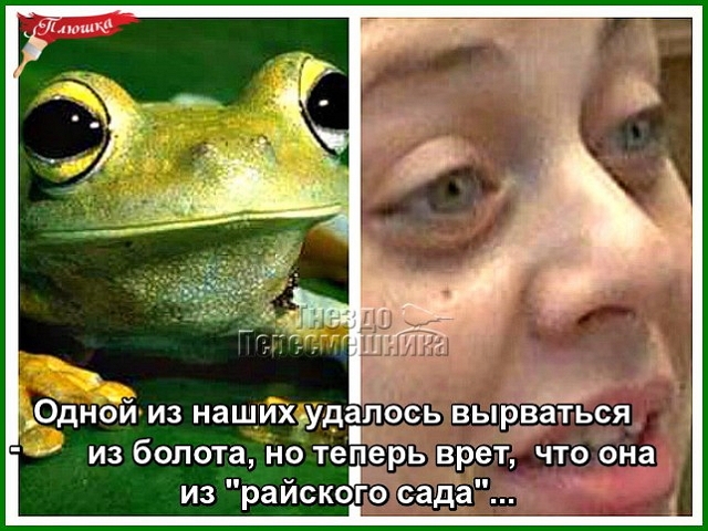 ������� ���-2 (16.12.2016)