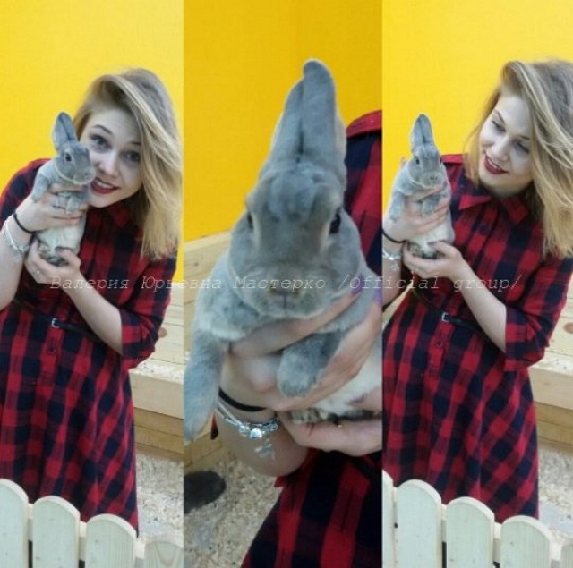 ����� ��������� ���