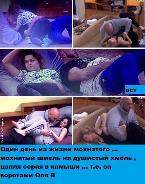 Приколы Дом-2 (20.12.2016) Приколы Дом-2 (20.12.2016)