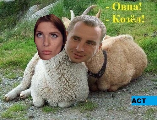 Приколы Дом-2 (20.12.2016) Приколы Дом-2 (20.12.2016)