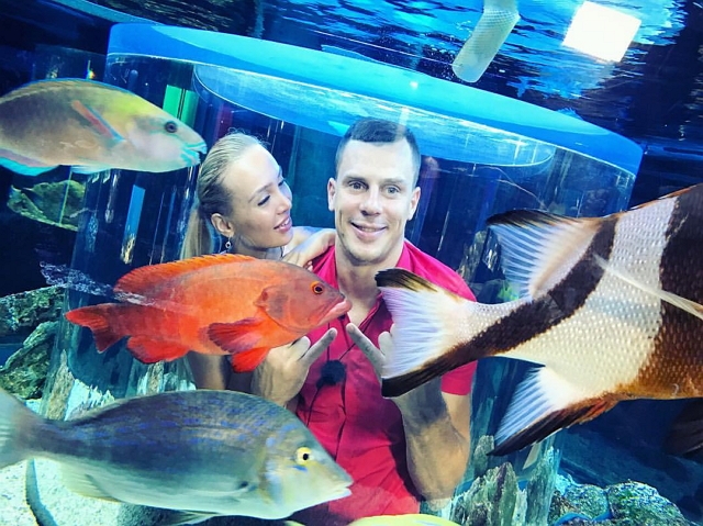 ���� ��������: ������� ��������