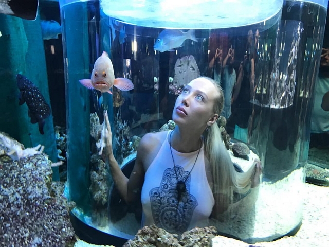 ���� � ������ �� ���������� (21.12.2016)