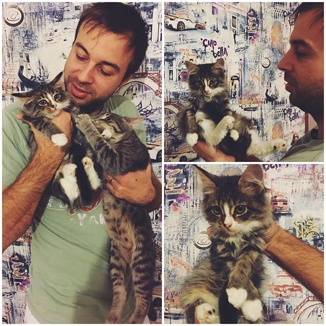 ����� ����� ���: ������ ������