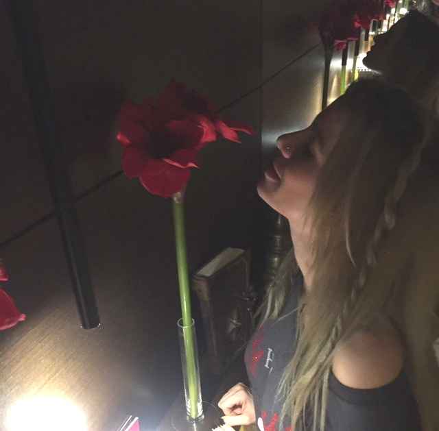 ������ �������: ���� - ��������� ������!