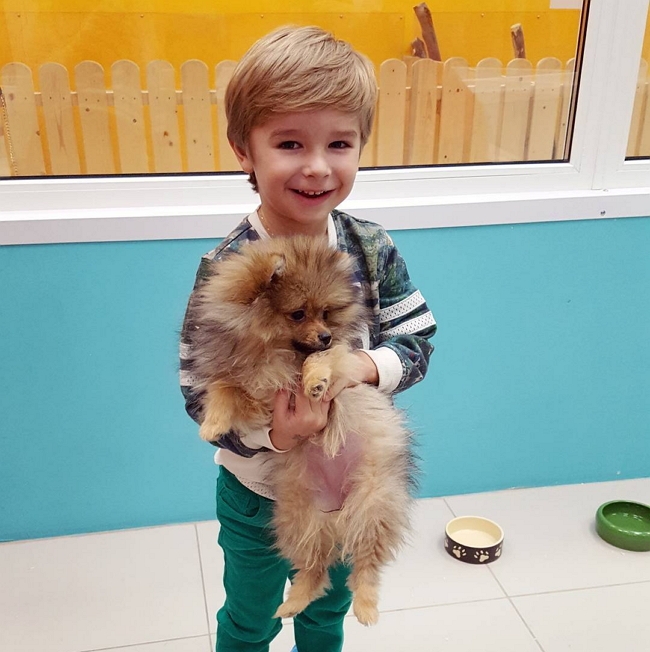 ���� ����� ���������� ����-2 (28.12.2016)