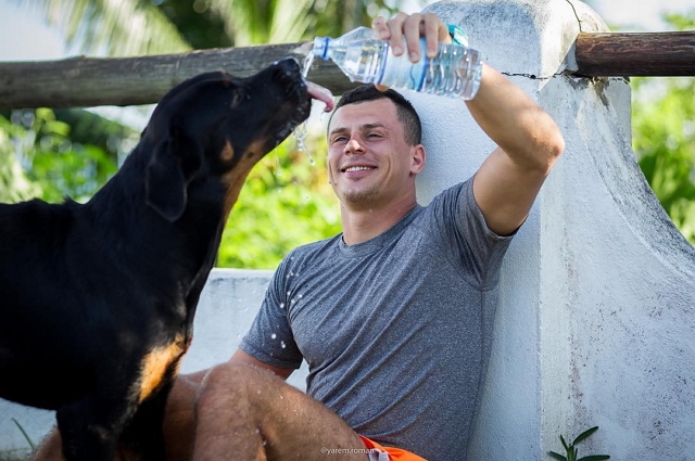 ���� � ������ �� ���������� (29.12.2016)