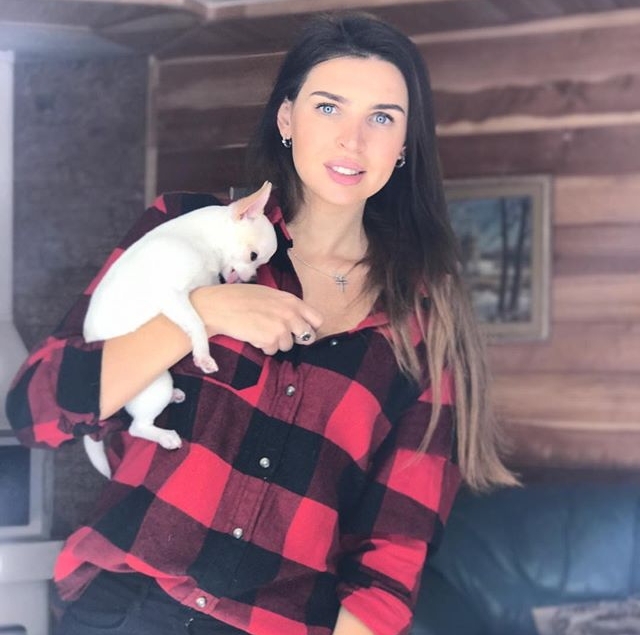 ���� �� ���������� (29.12.2016)