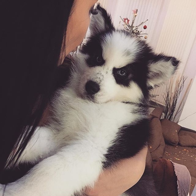 ����� ����� ������ �������� ������� ������ �������