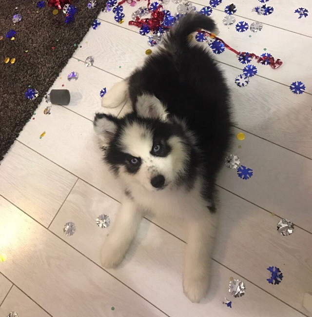 ����� ����� ������ �������� ������� ������ �������