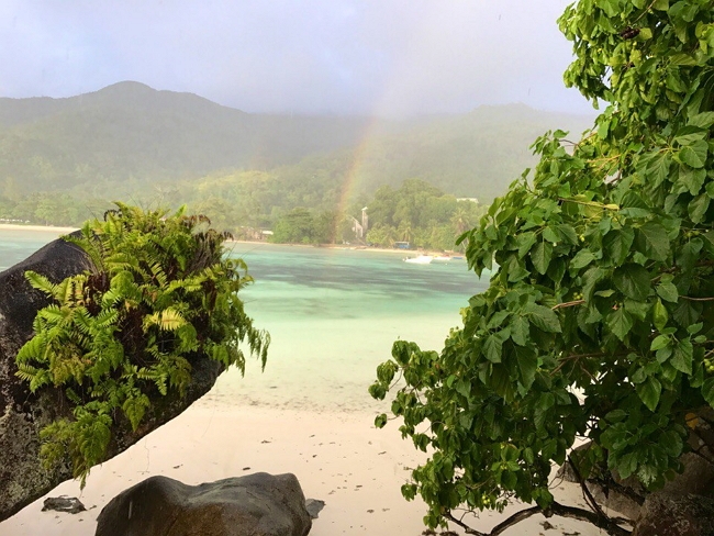 Фото с Сейшел от участников (12.01.2017) Фото с Сейшел от участников (12.01.2017)