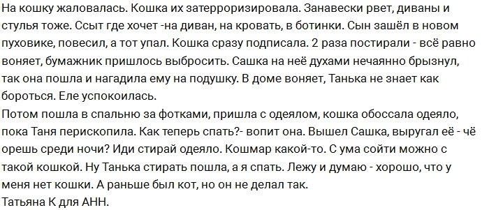 Татьяна Африкантова: У меня есть досье на Агибалову Татьяна Африкантова: У меня есть досье на Агибалову