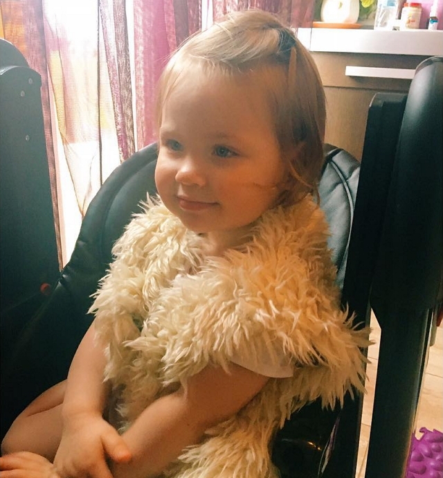 ���� ����� ���������� ����-2 (15.01.2017)