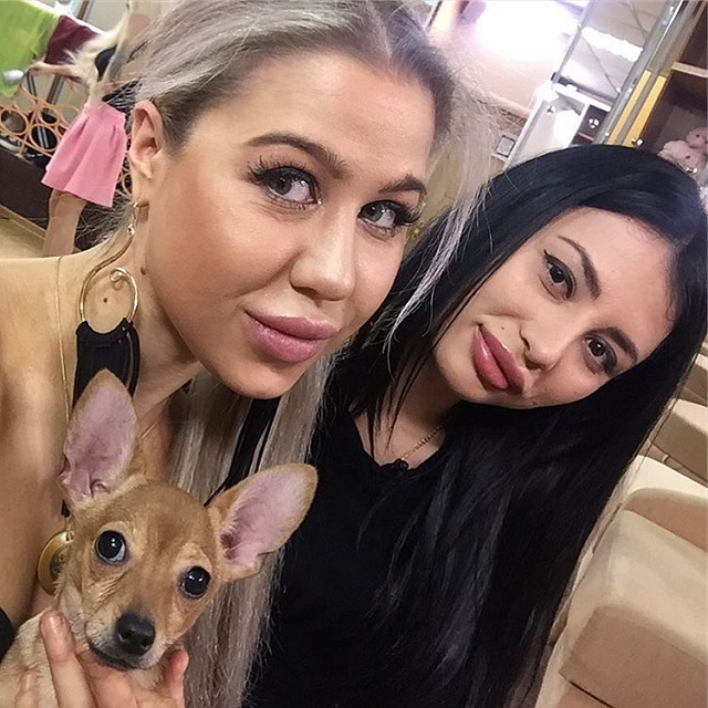 ���� �� ���������� (15.01.2017)