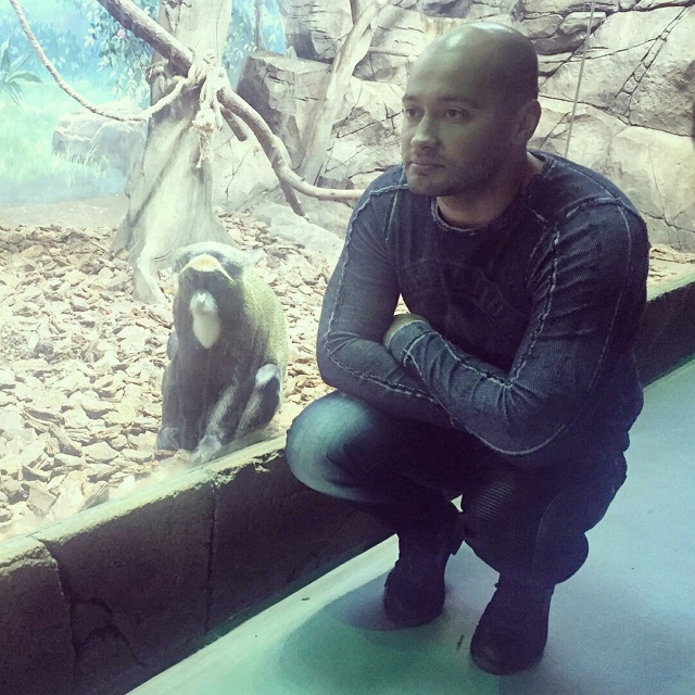 ���� �� ���������� (15.01.2017)