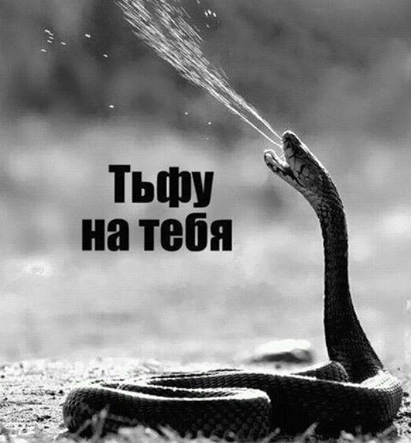 ��������: ��� � ���� ���� ��������� �����������