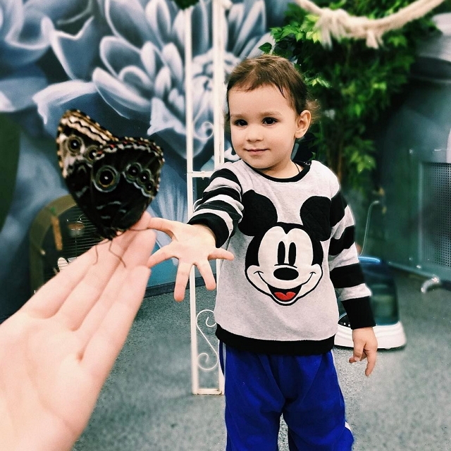 Фото детей участников Дома-2 (19.01.2017) Фото детей участников Дома-2 (19.01.2017)