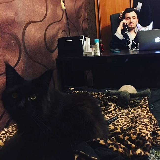 ���� �� ���������� (25.01.2017)