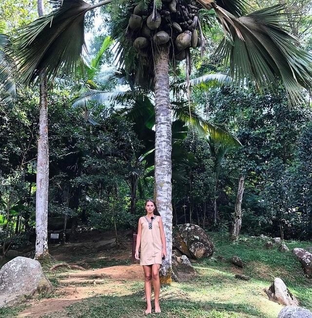 Фото с Сейшел от участников (27.01.2017) Фото с Сейшел от участников (27.01.2017)